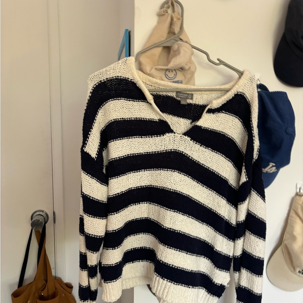Francesca's Collections Blue and White V-Neck Sweater